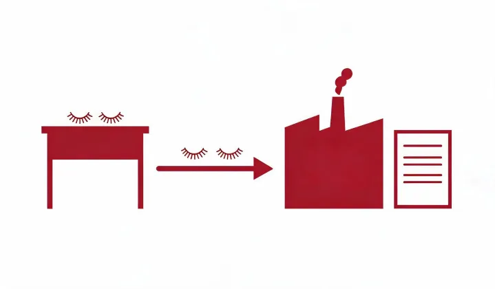 Illustration of a written mink lashes sourcing route, not a street map